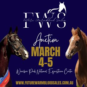 Future Warmbloods