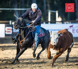 GB115186-Michael Hayes and 'Jaguar' add an 86.33 to their overnight score of 90.33 to be at the top of the leaderboard early in the second round