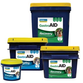 GastroAID