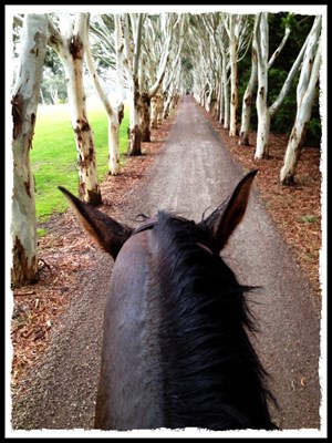 Hacking out