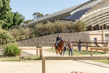 Hawkesbury Dressage Festival, 2022. Image: HDC
