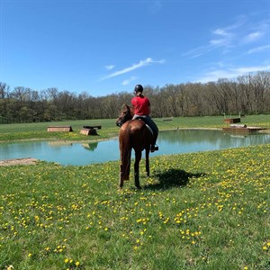 Hazel Shannon and Willingapark Clifford do some gentle work in the lead up to Kentucky CCI5*. Image - Hazel Shannon