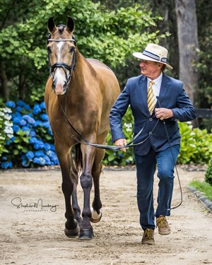 Heath Ryan and Bronze Boy R. © Stephen Mowbray