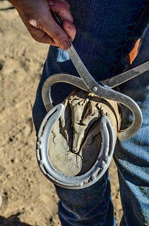 Hoof testers can be a useful tool. © Maxine Brain