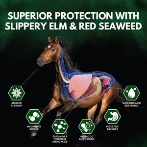 Hygain ONA Digest & Protect photo 2