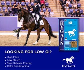 Hygain advert for Boneo Summer Dressage Champs 2022