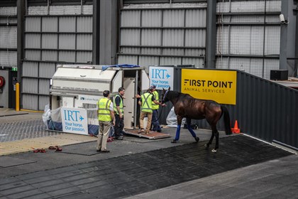 First Point Animal Services accepting their award. © First Point Animal Services/IRT