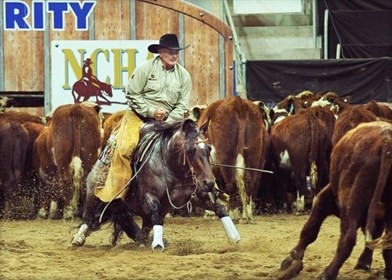 Ian Francis showing his talent, technique and style © Image supplied