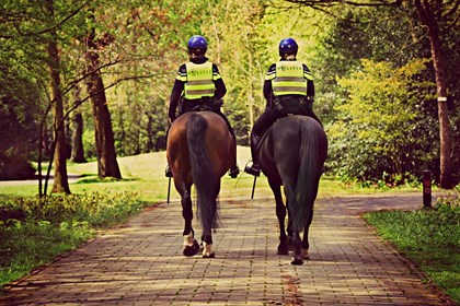 In most cities you will find police horses checking the streets and controlling crowds