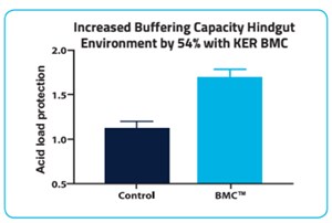 Increased buffering capacity - Figure 2. © KER