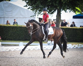 Ingrid Klimke and Franziskus warming up at CHIO Aachen 2019. © Roger Fitzhardinge
