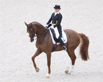 Isabell Werth and Bella Rose won the CDIO5* Freestyle.