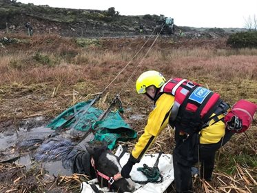 It took a full RSPCA water rescue team to remove the mare from the bog. © RSPCA UK