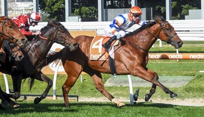 Jamie Kah rides Deep Speed to her record breaking 100th Melbourne win this season © Racing photos