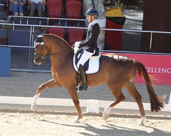 Jayden Brown and Bertone at Willinga Park Dressage by the Sea CDI4* © Roger Fitzhardinge jpg
