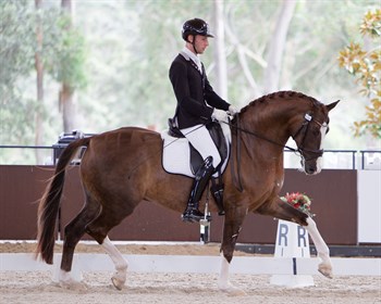 Jayden Brown and Bertone, winners of the 6YO class - © Roger Fitzhardinge