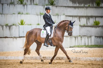 Jayden Brown and 'Willinga Park Fangio' score 80.00% to win the 6yo horse class © Stephen Mowbray