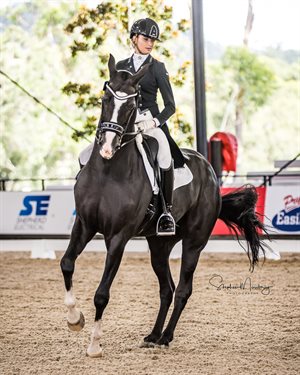 Jessica Dertell and ''Zanzibar' mark 68.559% to win the Bay Coast Roofing Under 25 Intermediate II. © Stephen Mowbray
