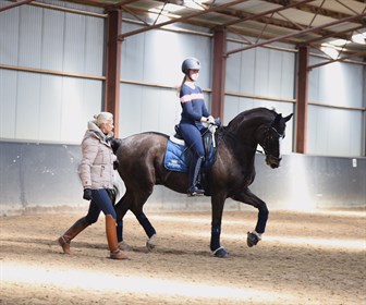 Jorjia Beard- Adams riding her Grand Prix horse Wildlife 6 in the Coda by Custom Saddles