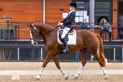 Kate Nipperess SW Cruiser Para Equestrian