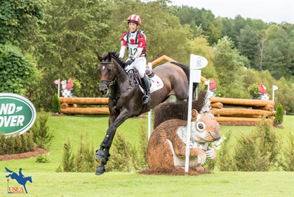 2018 FEI World Equestrian Games © USEA/Leslie Mintz Photo.