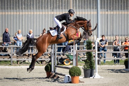 Ingrid Klimke riding SAP Asha P at the 2019 FEI Eventing Nations Cup Waregem, Belgium leg © FEI/Lippens Photography