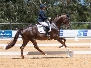 Lisa Martin and Vilaggio. Image by Jo Jennings for Equestrian Australia