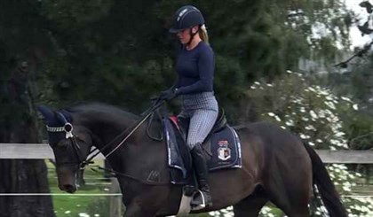 Lonrockstar better known as ''Rocky'' and his new owner © Racing Victoria