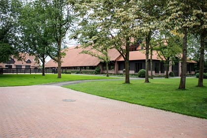 Lyndal Oatley's indoor and yards