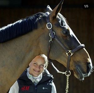 Malin Baryard-johnsson’s successful show jumping partner, Butterfly Flip has passed away © Malinbaryard Instagram