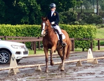 Mary Nitschke and Promise R took home 5th in the Medium freestyle. © Dana Krause