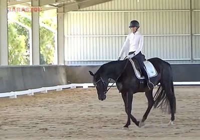 Megan Bryant in the Virtual Spring Dressage Series