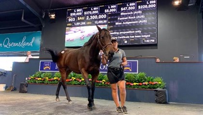 Missrock sells for $2.3 million on the Gold Coast © Racing.com