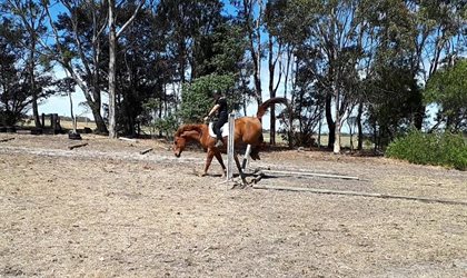 Myra and Tommy jumping.