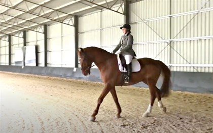 Natalia Bognar - Boutique Equines competition