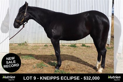 Nutrien Equine Lot 9