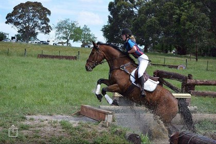 PHHWV Samson and his rider Jiyah tackling the water jump. © Project Hope Horse Welfare Victoria