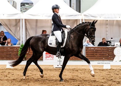 Penny Hill Park Sophia, ridden by Emma Hayward and owned by Michelle James, was the 6YO Young Dressage Horse Champion - © Amy-Sue Alston