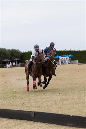 Polo players jostle for the ball. © Flinders Polo