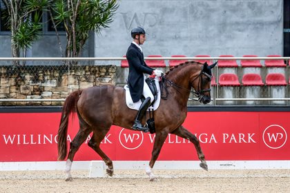 Prix St Georges winner Jayden Brown and WillingaPark Quincy B 76.275%. © Amy-Sue Alston