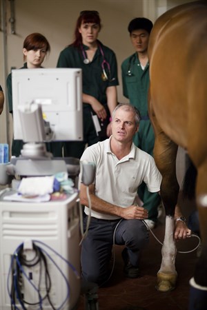 Professor Chris Whitton, head of the University of Melbourne’s Equine Centre, is currently researching the phenomenon of microfractures in racehorses.
