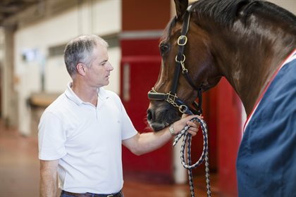 Professor Chris Whitton, head of the U-Vet's Equine Centre, with one of his equine patients.