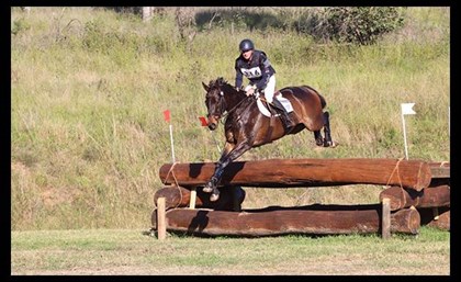 Punching in a Dream making it big as an eventer © Racing Victoria