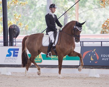 Quincy B by Quarterback, ridden by Jayden Brown - © Roger Fitzhardinge