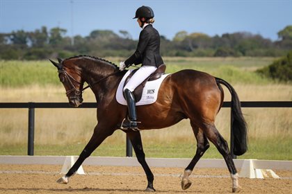 Rebecca Farrow and Stage Presence are currently fourth in the Novice leaderboard. © Michelle Terlato