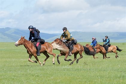 Riders in race mode. © Shari Thompson