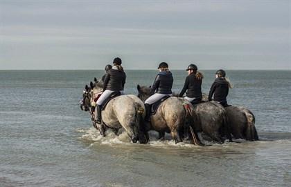 Riders taking their horses for a splash