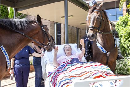 Rita Meredith received her dying wish to smell and see another horse before she passes away. © NSW Police Force