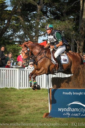 Robert Palm on Koko Story in the CCI3* © Michelle Terlato