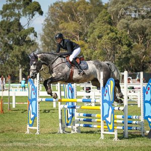 Caitlin Bolger riding Yalambi's Messiah, who was the 5YO Champion and also Champion of Champions. © Michelle Terlato